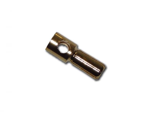 Gold Connector 5,5mm male # ZB-G-ST-55 